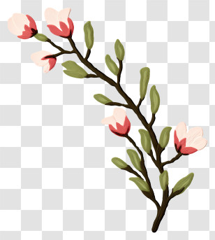 Pink Flower Stem - Pink Flower Stem Illustration With Soft Blooms Transparent PNG