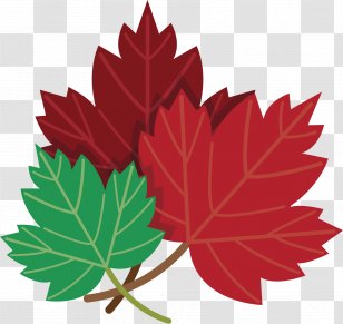 Toronto Maple Leafs Clip Art Vector Graphics - Deciduous - Leaf Logo Transparent PNG