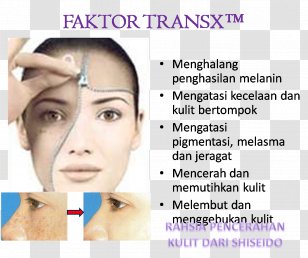 Zubaida Tariq Skin Care Beauty Parlour Whitening Anti-aging Cream - Chin - Noor Transparent PNG