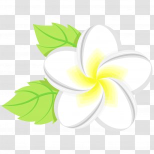 Flower Floral Design Leaf Petal - Spa Theme Transparent PNG