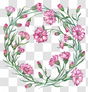 Pink Cornflowers - Pink Flower Wreath Transparent PNG
