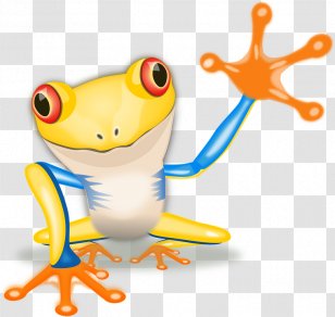 Red-eyed Tree Frog Australian Green Clip Art - Red Eyed - Amphibian Pic Transparent PNG