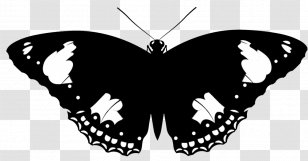 Butterfly Insect Silhouette Clip Art - Free Content - Cliparts Transparent PNG