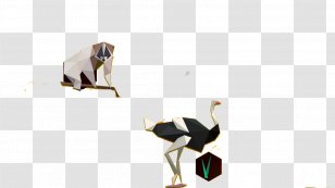 Common Ostrich Water Bird Duck Illustration - Flightless - Monkey Transparent PNG