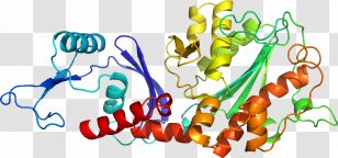 Organism Human Behavior Line Clip Art Transparent PNG