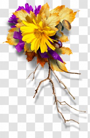 Flower Petal Floral Design - Chrysanths - Free Vintage Botanical Pull Image Transparent PNG