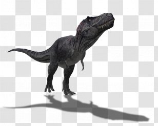 Tyrannosaurus Spinosaurus Dinosaur Size Barosaurus - Indominus Rex Transparent PNG