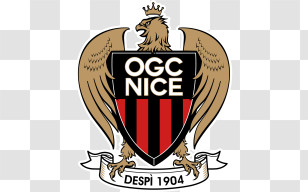 Nice Logo Transparent PNG