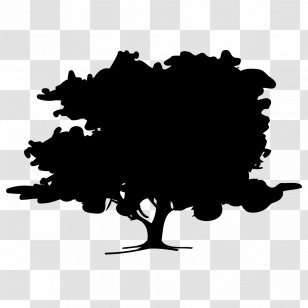 Vercors Massif VSNRY Marketing Die Park Creative Services - Kitchener - Small Business Transparent PNG