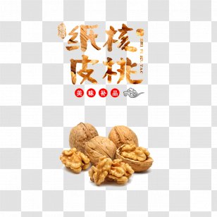 English Walnut Nutcracker - Cuisine - Free Pictures Mosaic Transparent PNG