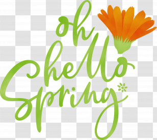 Floral Design Transparent PNG