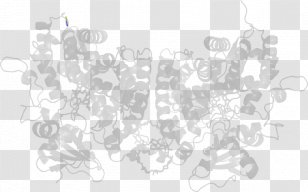 White Line Art - Black And - Design Transparent PNG