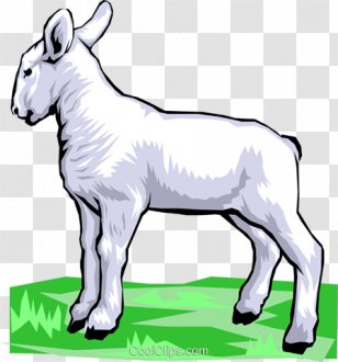 Sheep Cattle Art Meat Clip - Organism Transparent PNG