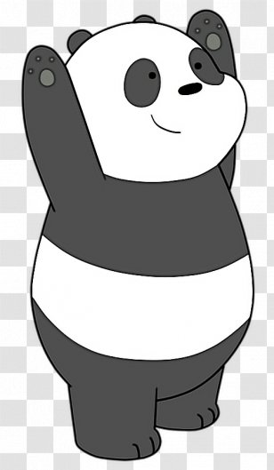 Bears