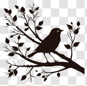 Bird Branch Silhouette - Bird Silhouette On Branch Transparent PNG