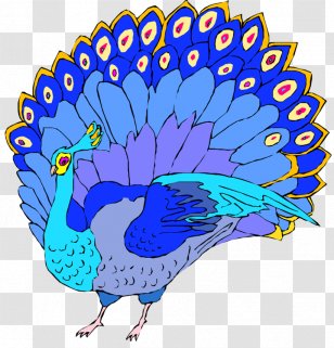 Peafowl Feather Clip Art - Peacock Transparent PNG