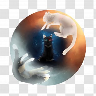 Cat Enki Eucalyptus Splash 11 September Attacks Transparent PNG