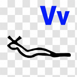 Egyptian Hieroglyphs Letter Symbol Language - V&agrave;ng Transparent PNG