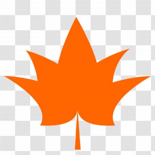 Maple Leaf Autumn Color Clip Art - Leaves Transparent PNG