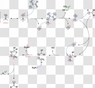 Line Point Map Tree Tuberculosis - Sky Plc Transparent PNG
