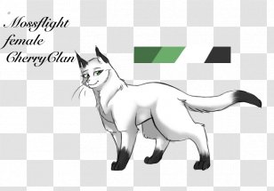 Whiskers Cat /m/02csf Line Art Drawing - Vertebrate Transparent PNG
