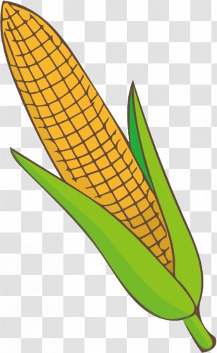 Banana Leaf - Corn - Family Transparent PNG