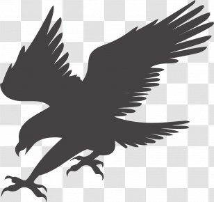 Bald Eagle Clip Art - Hunting Transparent PNG