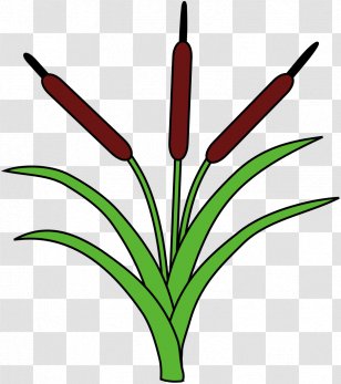 Figura Heraldry Drawing Clip Art - Color - Bulrush Transparent PNG