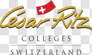 International Hotel And Tourism Training Institute Culinary Arts Academy Switzerland Swiss Management School Cesar Ritz Colleges Education Group - Business Transparent PNG