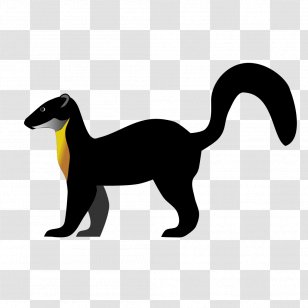 Yellow-throated Marten Nilgiri Mustelids Mountains Western Ghats - Watkins Transparent PNG