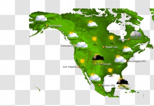 Upside Down World Map Political - Tree - Live Doppler Radar Weather Transparent PNG