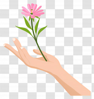 World Kindness Day - Hand Holding Pink Flower In Soft Illustration Transparent PNG