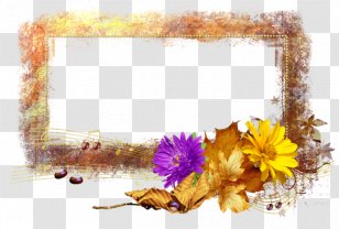 Flower Still Life Photography Floral Design Picture Frames - Petal Transparent PNG