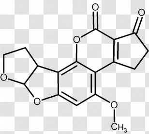 Aflatoxin B1 Aspergillus Flavus Mycotoxin Ochratoxin - Frame - Heart Transparent PNG