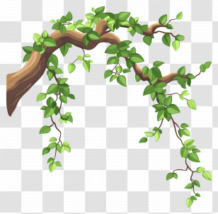 Dense Tree - Vine Branch With Green Leaves Transparent PNG