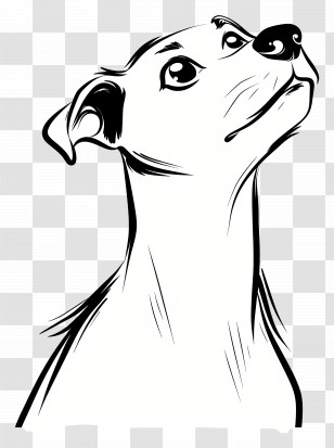 Dog Outline - Black And White Dog Drawing Transparent PNG