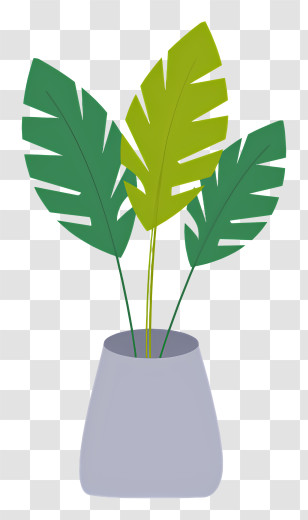 Small Plant - Potted Tropical Leaves For Home Decor Transparent PNG