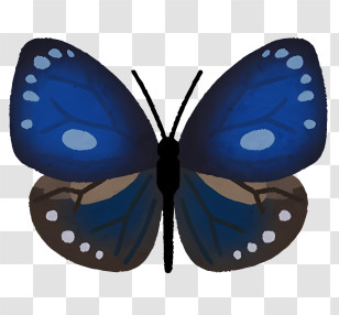 Bug - Blue Butterfly Illustration With Spotted Wings Transparent PNG