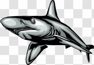 Great White Shark Royalty-free Photography - Marine Mammal - Ferocious ...