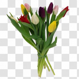Tulip Cut Flowers Flower Bouquet Floristry - Swedish Krona - Vas Transparent PNG