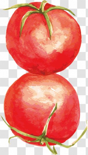 Tomato Food Computer File - Diet - Vector Transparent PNG