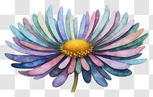 Cartoon - Vibrant Colorful Flower In Bloom Transparent PNG