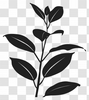 Plant Silhouette - Plant Silhouette Illustration In Black Transparent PNG