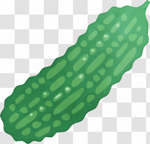 Bitter Melon - Bitter Gourd Cartoon Art Transparent PNG