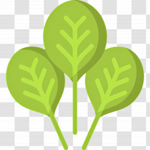 Spinach - Cartoon Style Green Spinach Leaves Transparent PNG