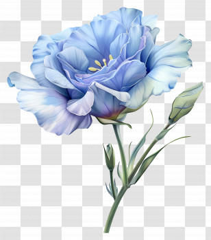 Blue Lisianthus Flower - Beautiful Blue Flower Illustration Transparent PNG