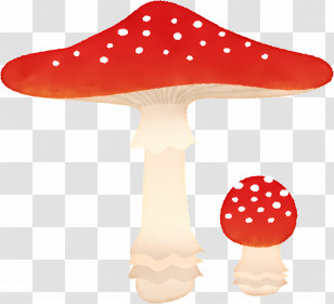 Mushrooms - Red Mushroom With Spotted Cap Illustration Transparent PNG