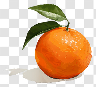 Orange Fruit - Orange Fruit With Leaves In Illustration Transparent PNG