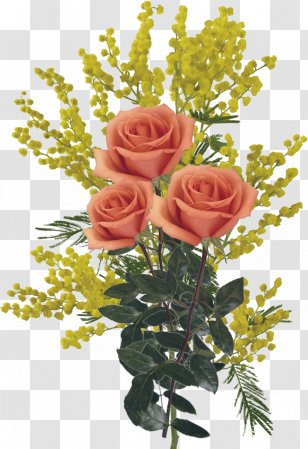 Flower Clip Art - Floral Design - Spring Flowers Transparent PNG