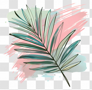 Palm Leaf - Palm Leaf Illustration On Colored Artistic Background Transparent PNG
